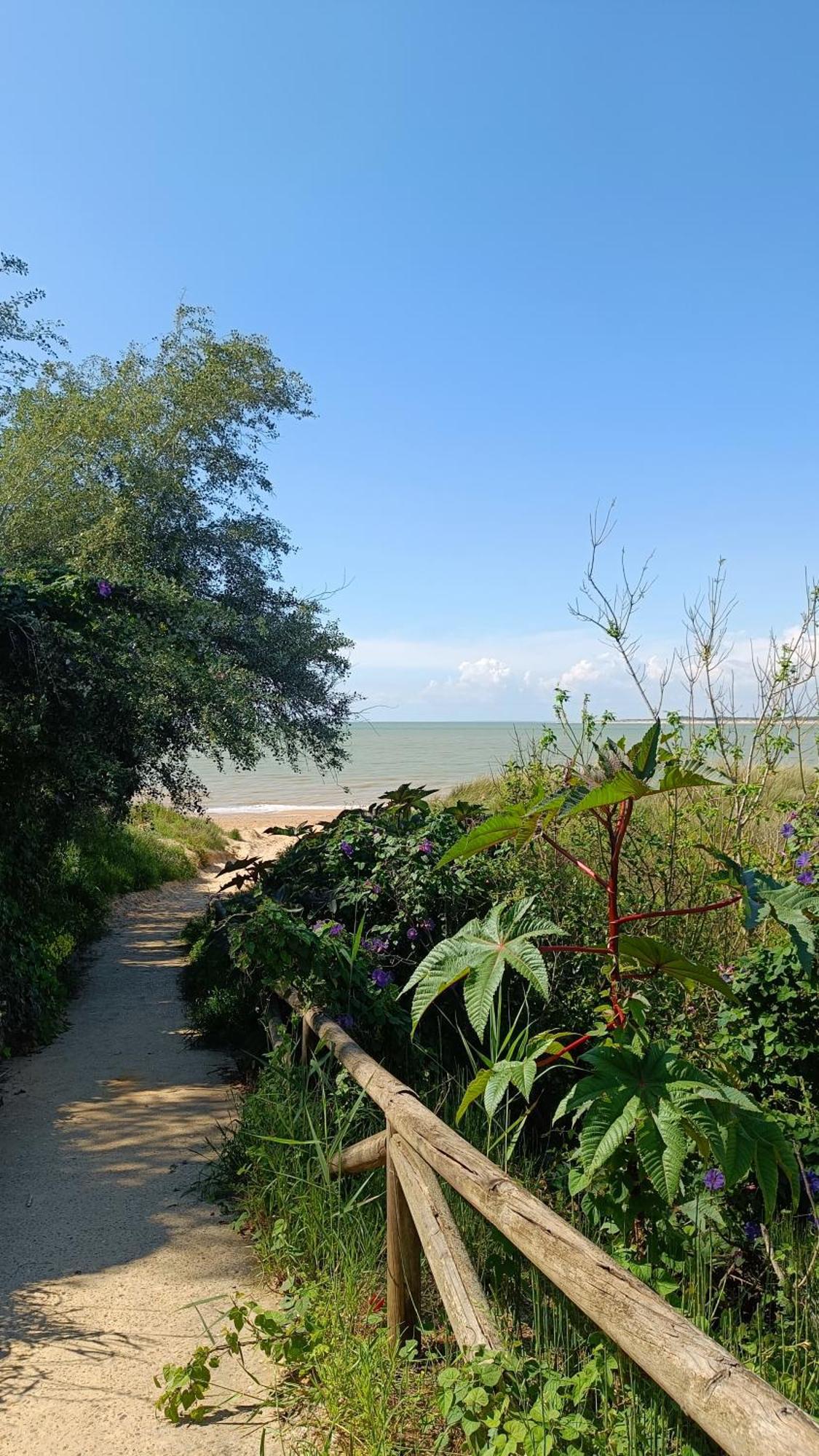 Moderno Apartamento Junto A La Playa ซันลูการ์เดบาร์ราเมดา ภายนอก รูปภาพ